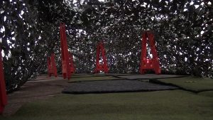 TIRO DE GUERRA (4)